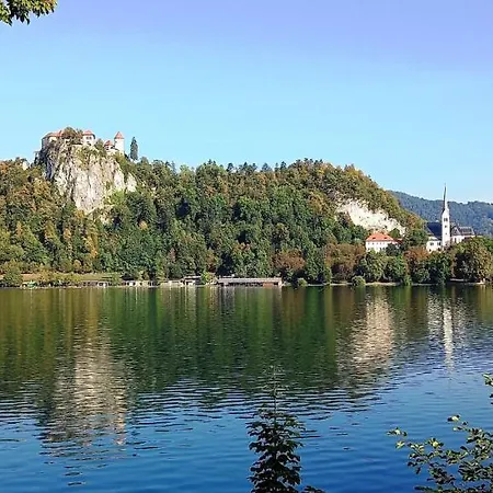 Dingsbums Apartamento Unteraichwald