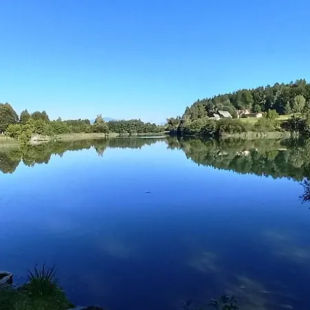 Apartament Dingsbums