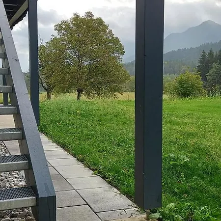 Dingsbums Unteraichwald