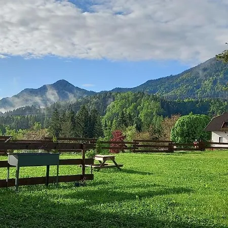 Dingsbums * Unteraichwald